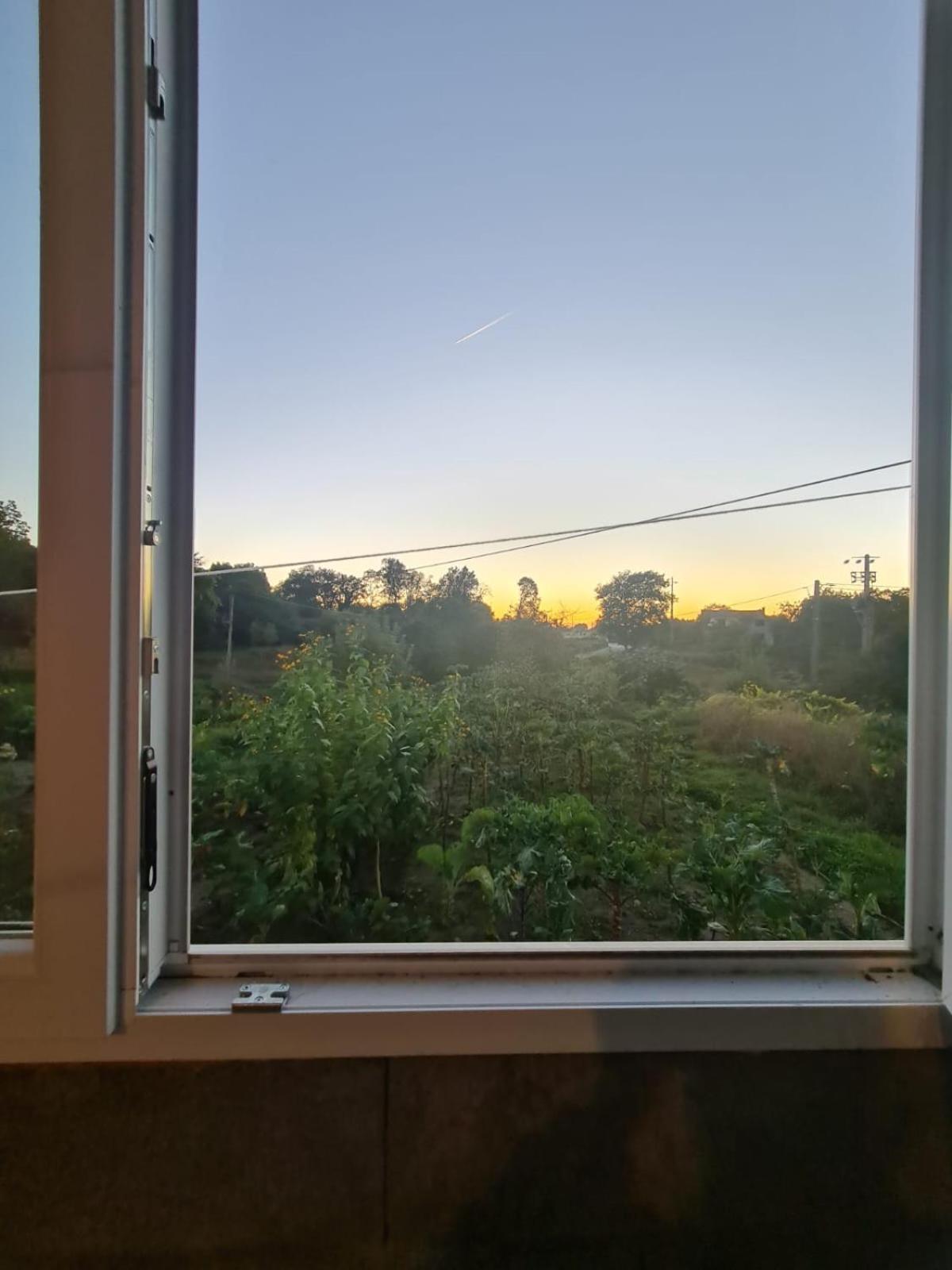 Apartamento T2 Zona Rural Vila Nova de Paiva Eksteriør billede