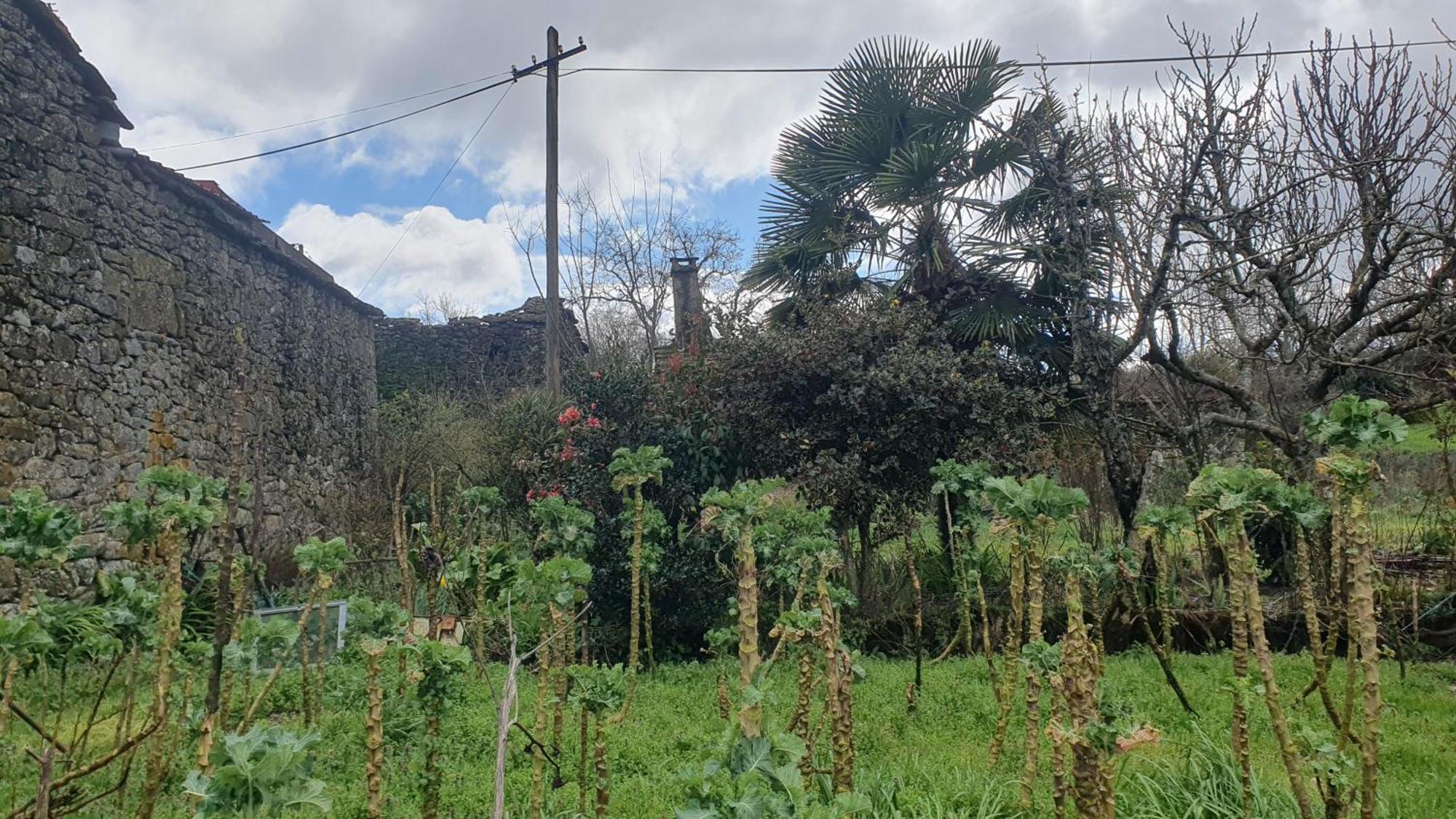 Apartamento T2 Zona Rural Vila Nova de Paiva Eksteriør billede