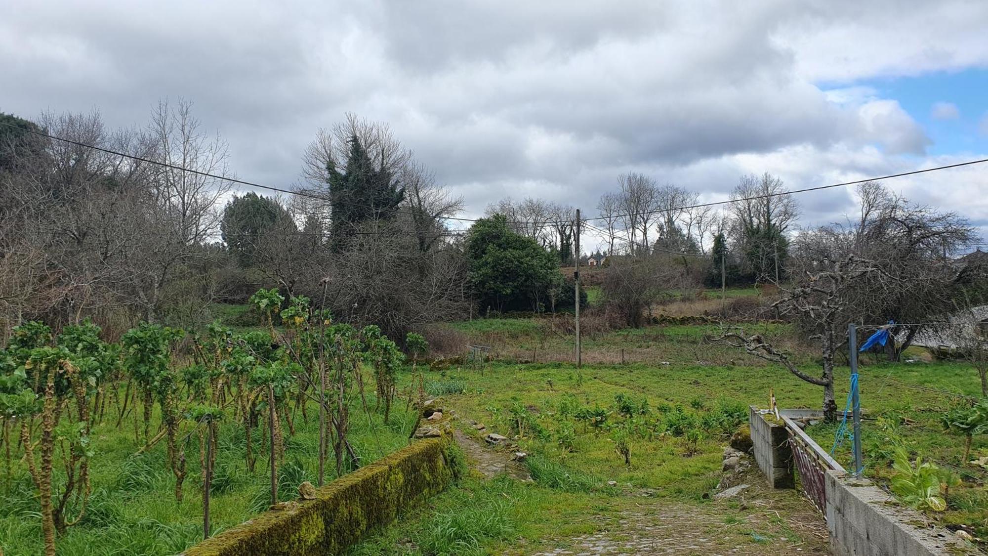 Apartamento T2 Zona Rural Vila Nova de Paiva Eksteriør billede