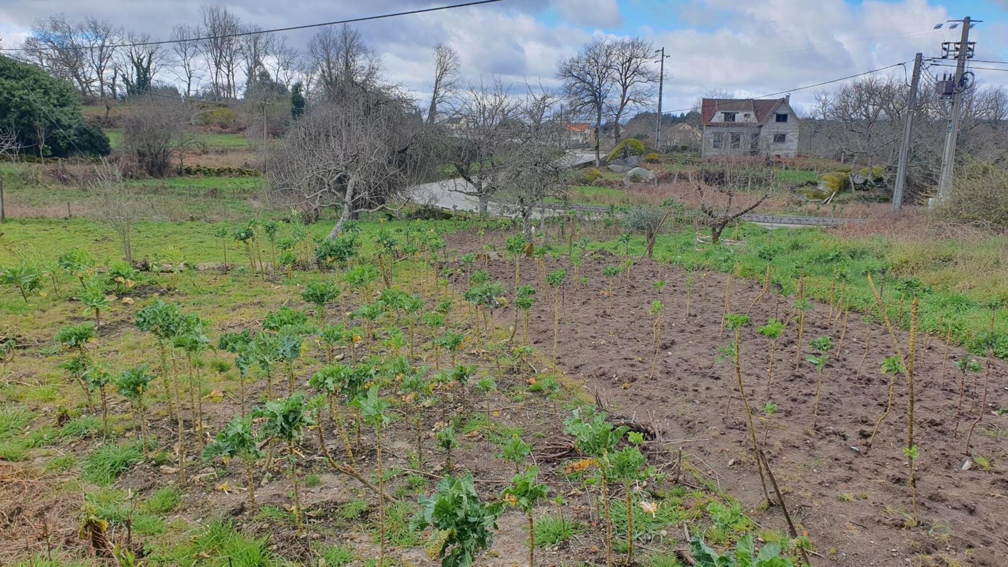 Apartamento T2 Zona Rural Vila Nova de Paiva Eksteriør billede